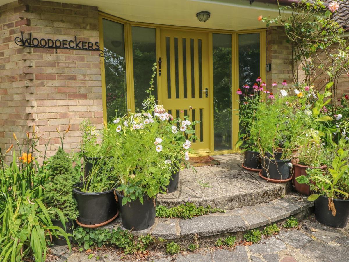 Villa Little Yaffle Dover Esterno foto